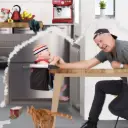 lobster portable highchair